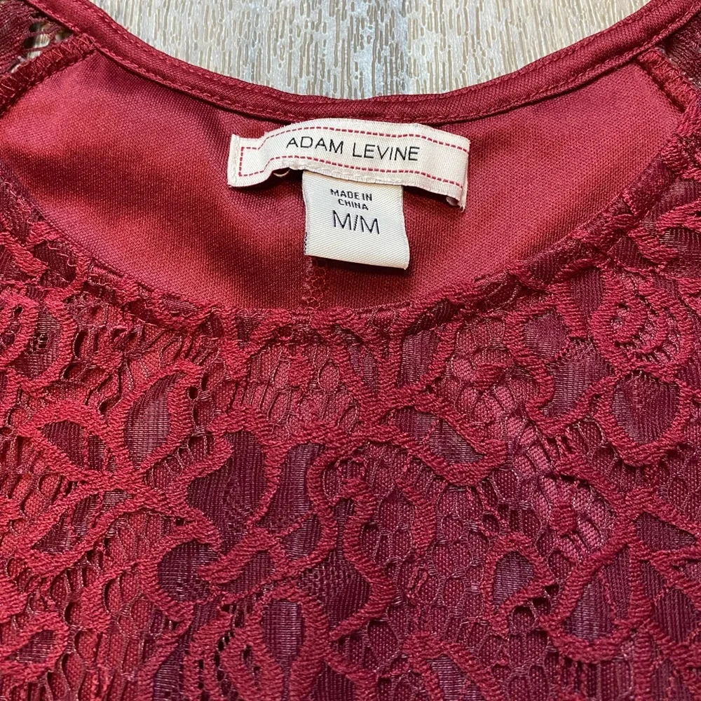 Adam Levine Burgundy Lace Short Sleeve Skater Mini Dress Size Medium - Picture 2 of 7